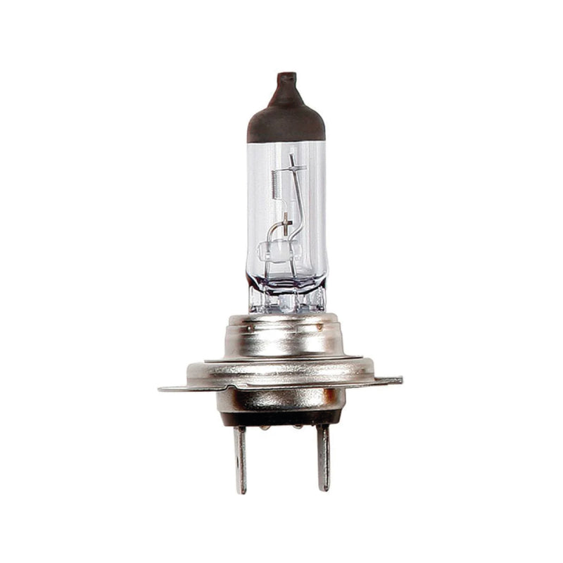 H7 LÂMPADA HALÓGENIO 12V DC 55W PX26D